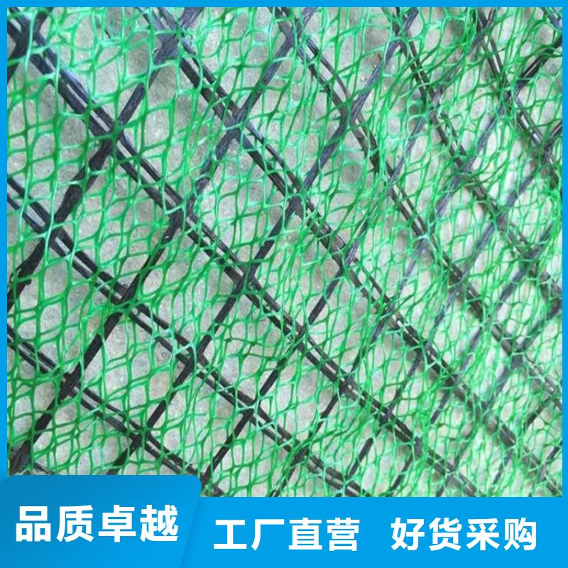 三維植被網(wǎng)_通風(fēng)降噪絲網(wǎng)生產(chǎn)經(jīng)驗(yàn)豐富
