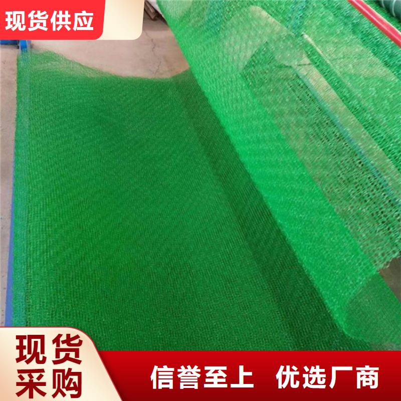 三維植被網(wǎng)_通風(fēng)降噪絲網(wǎng)生產(chǎn)經(jīng)驗(yàn)豐富