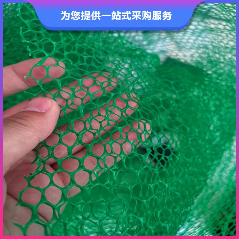 三维植被网-三维土工网产地采购