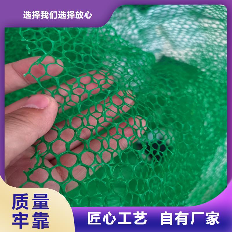 三維植被網(wǎng)【防滲膜】支持貨到付清