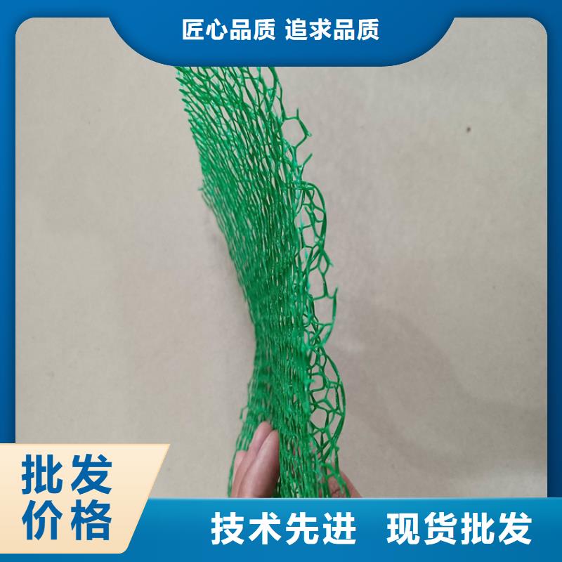 三維植被網(wǎng)土工布安心購