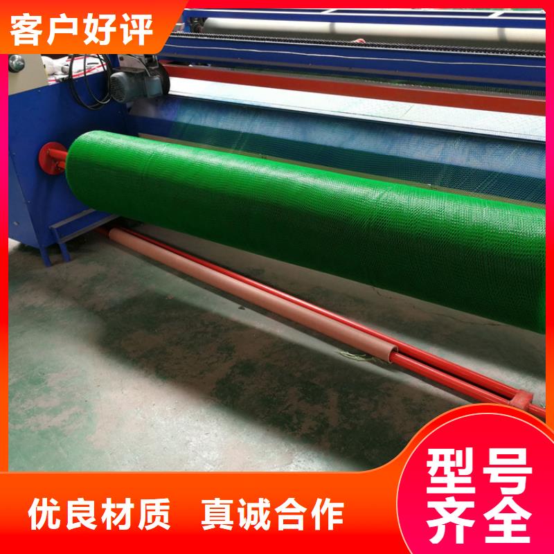三維植被網(wǎng)土工布安心購