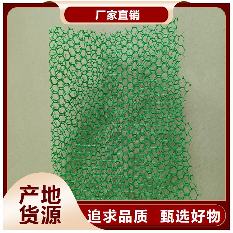 三維植被網(wǎng)土工布安心購