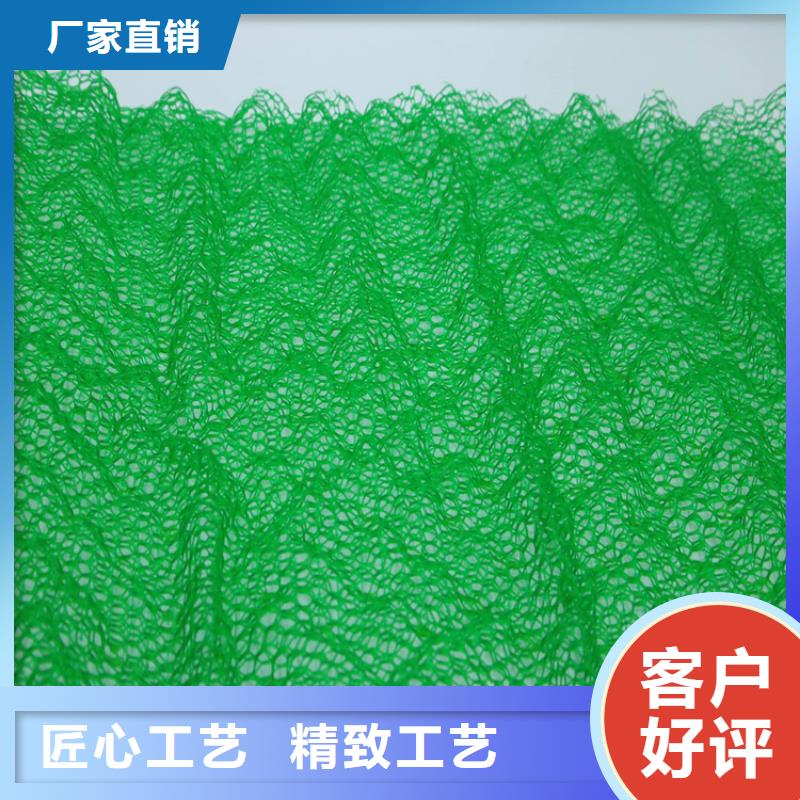 三維植被網(wǎng)土工布安心購
