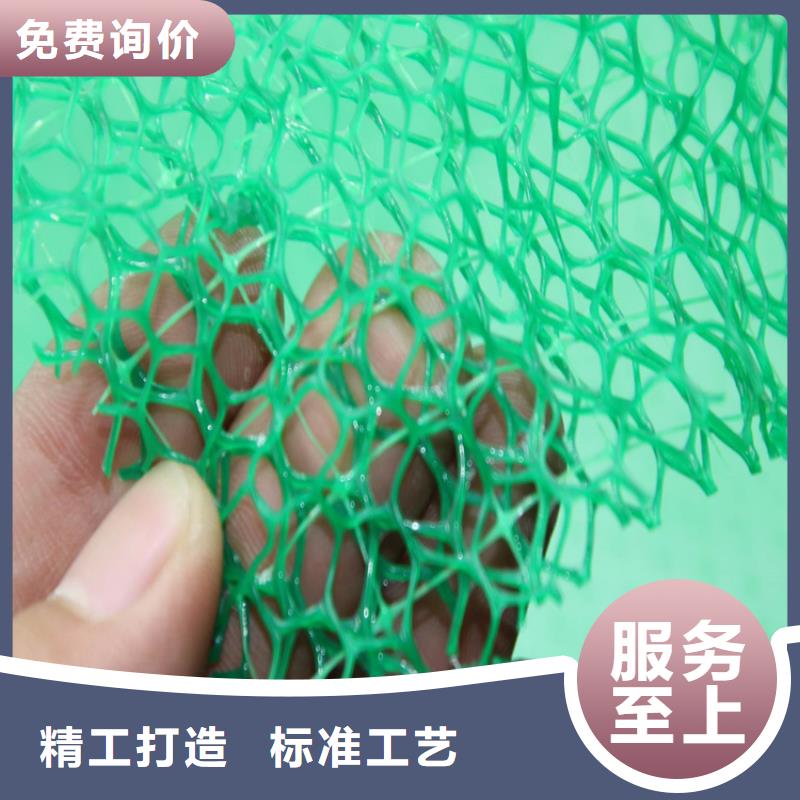 三維植被網(wǎng)土工布安心購