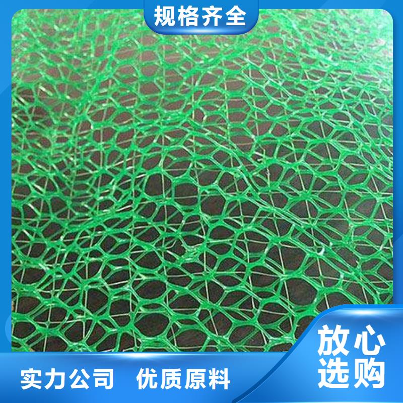 三維植被網(wǎng)土工布安心購