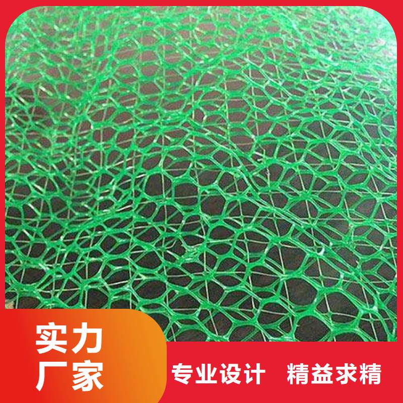 三維植被網(wǎng)抗裂貼使用壽命長久