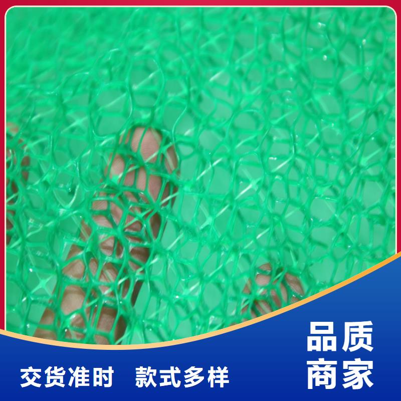 三維植被網(wǎng)抗裂貼使用壽命長久