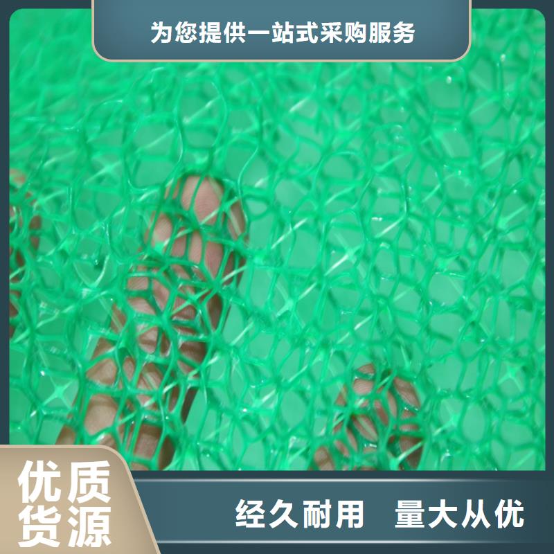 三維植被網(wǎng)土工布安心購