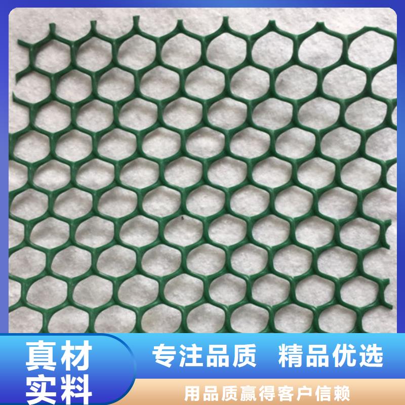 三维植被网,三维植被网厂家直销省心省钱