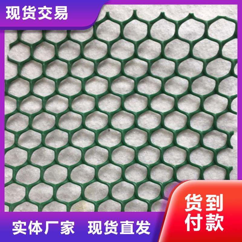 三维植被网三维土工网垫放心选购