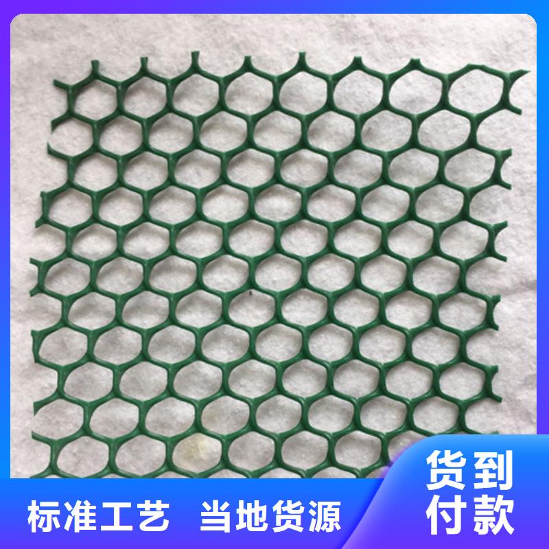 三维植被网,三维植被网厂家直销省心省钱