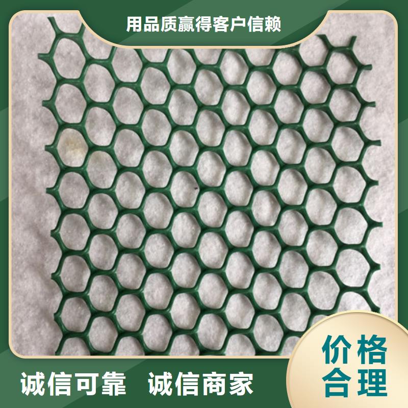 三维植被网,三维土工网来图加工定制