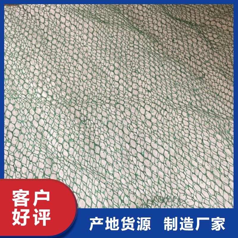 三维植被网,三维植被网厂家直销省心省钱