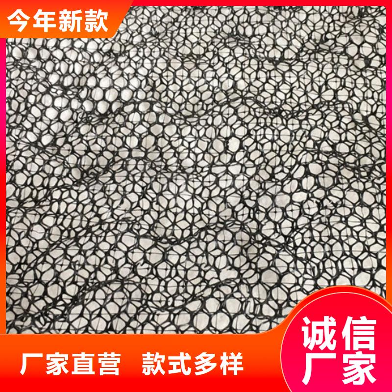 三维植被网,三维植被网厂家直销省心省钱