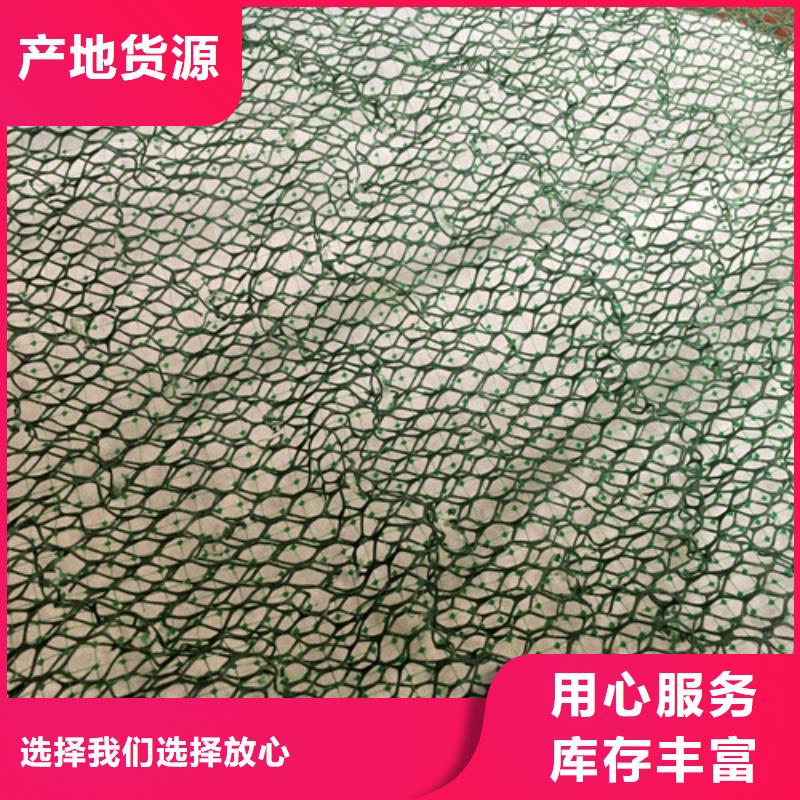 三维植被网,三维土工网来图加工定制