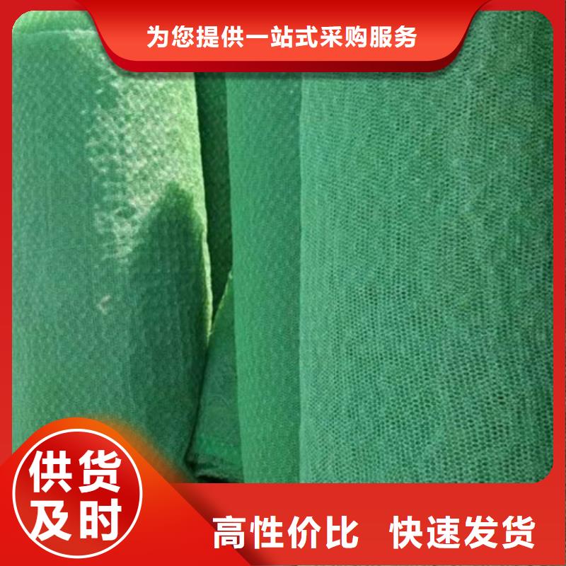 三维植被网三维土工网垫放心选购