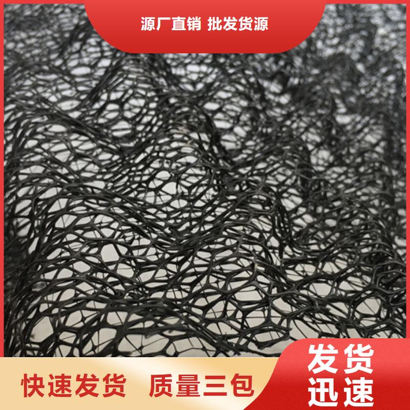 三维植被网,三维土工网来图加工定制