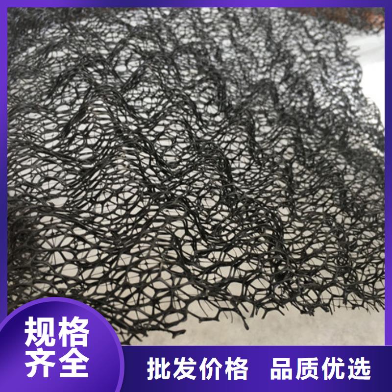 三维植被网,三维植被网厂家直销省心省钱