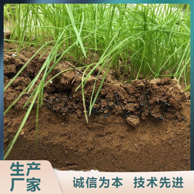 水土保護(hù)毯防水毯貼心服務(wù)