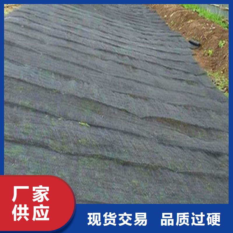 水土保護(hù)毯【防滲膜】出貨快