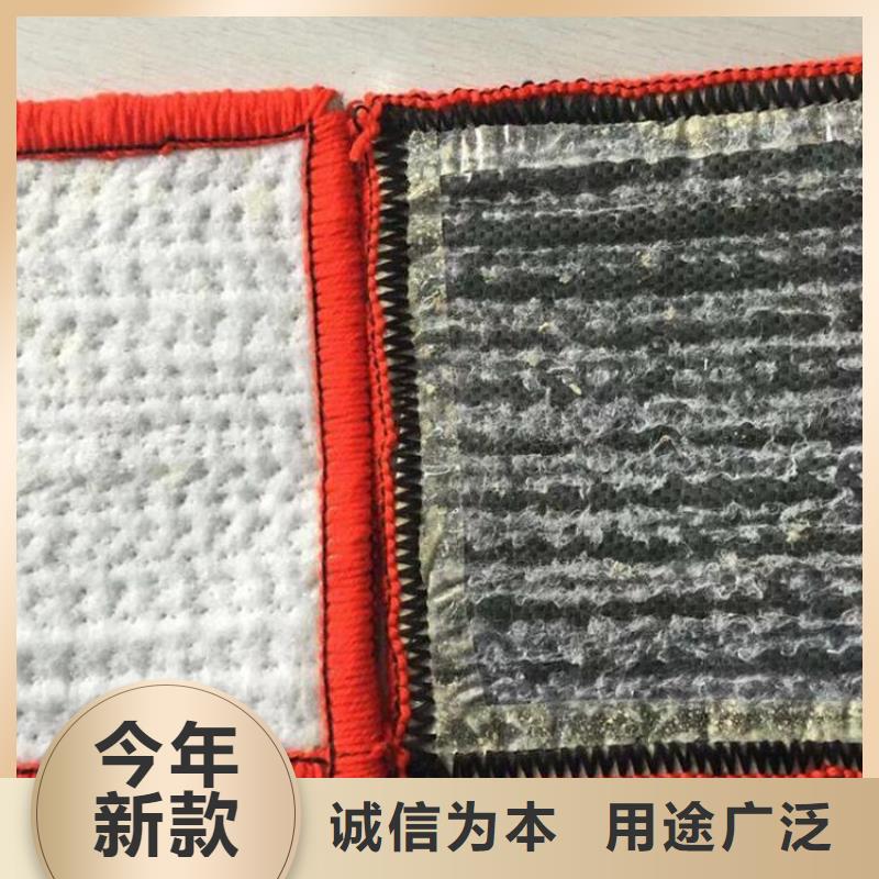 膨润土防水毯土工布有实力有经验