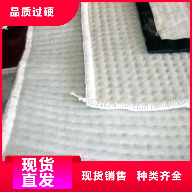 膨潤土防水毯防裂貼高標準高品質(zhì)