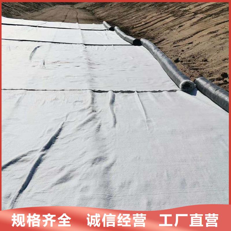 河道防滲膨潤土防水毯