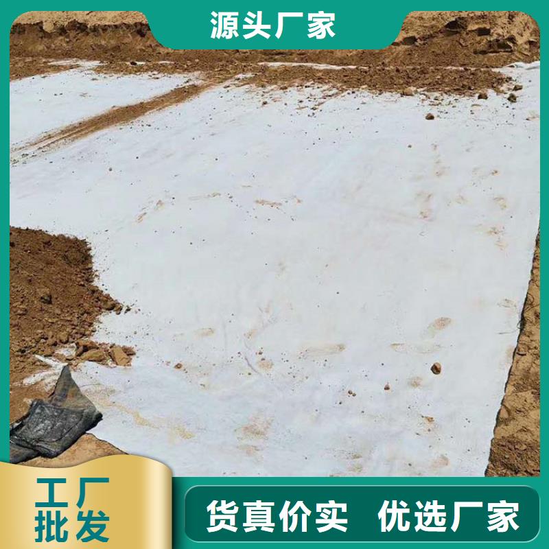 河道防滲膨潤土防水毯
