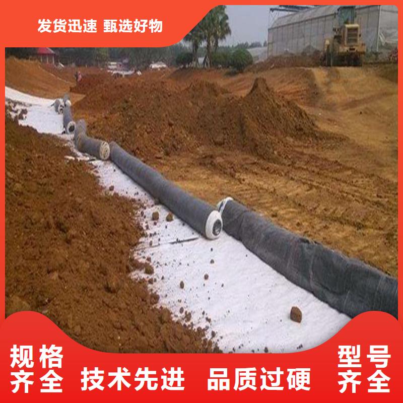 【膨润土防水毯快捷的物流配送】