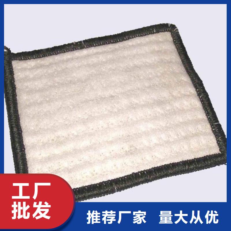 膨润土防水毯土工布有实力有经验