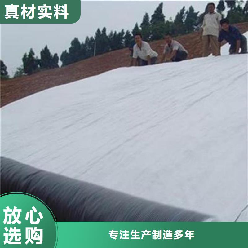 【膨润土防水毯快捷的物流配送】