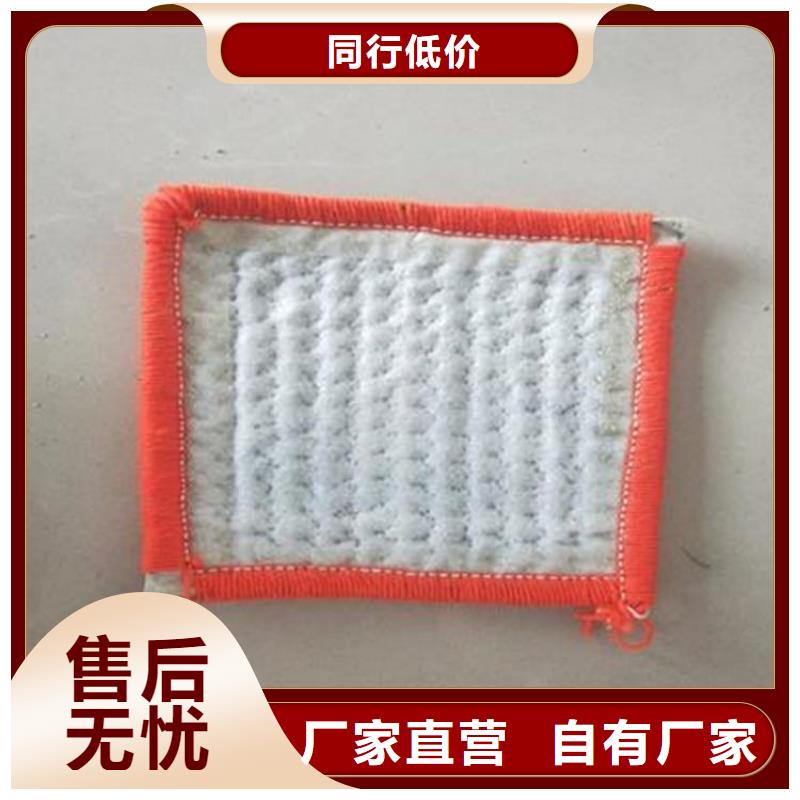 膨潤土防水毯-抗裂貼嚴(yán)選材質(zhì)