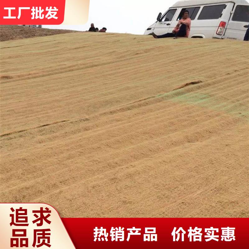 椰丝毯防渗膜多年行业积累
