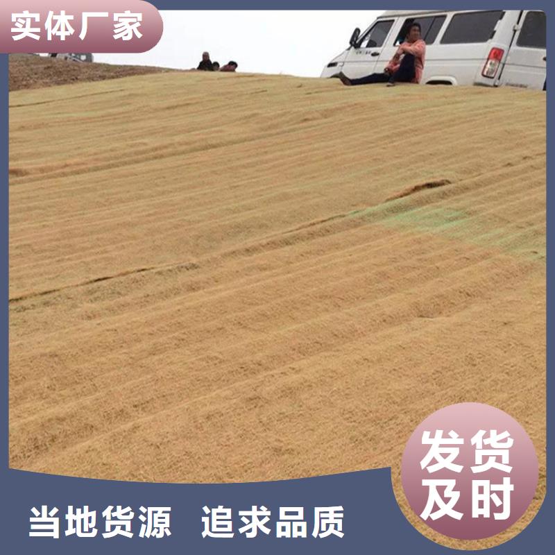 椰丝毯防渗膜48小时发货