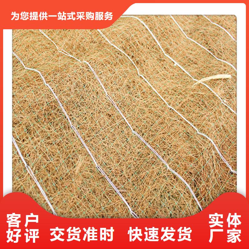 椰丝毯-【防渗膜】专业生产品质保证