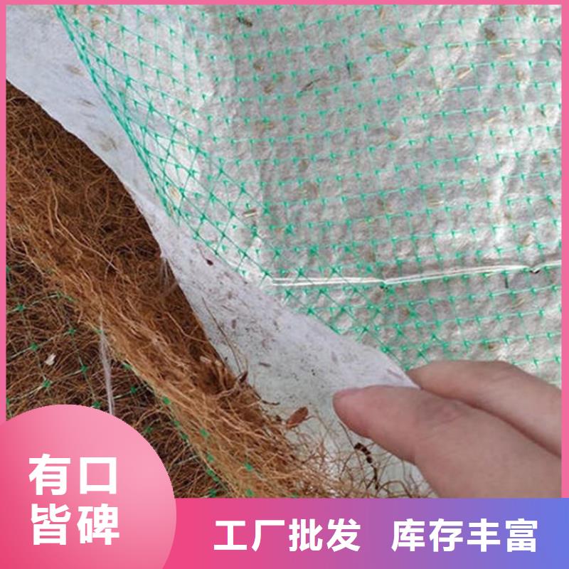 环保草毯经销厂家