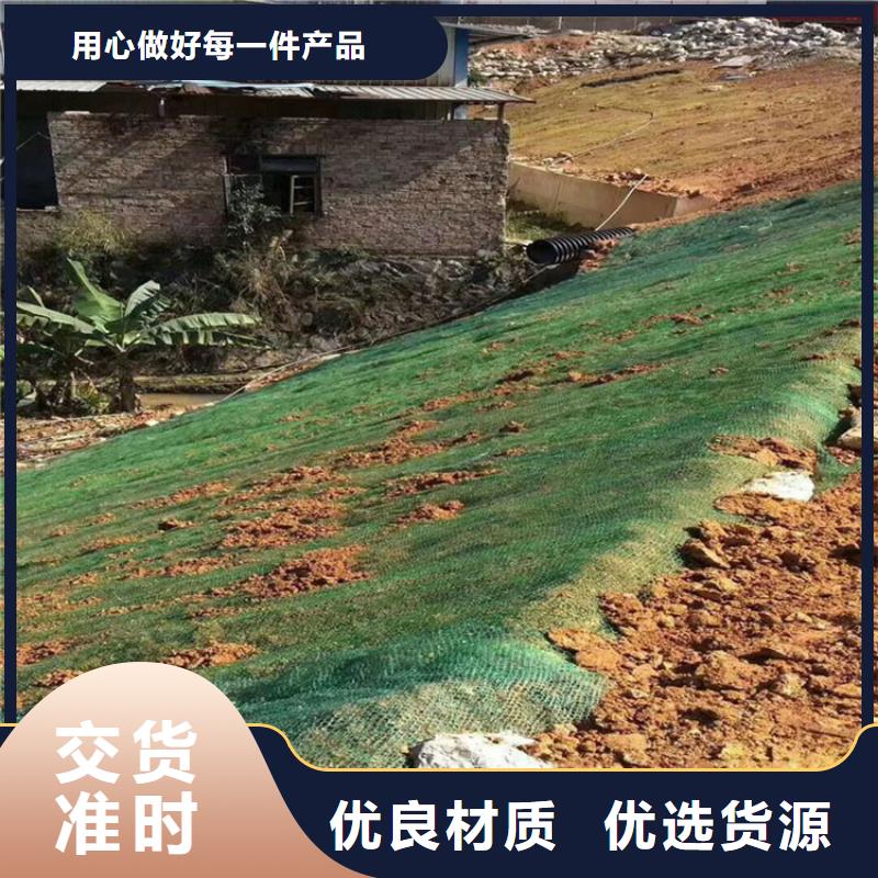椰絲毯【植草格】廠家