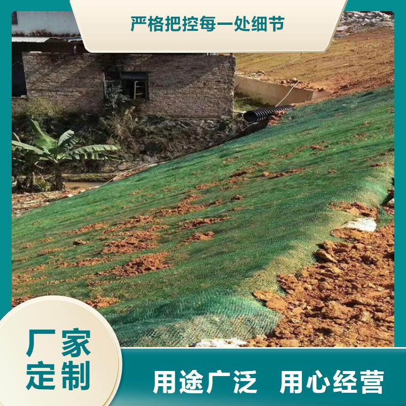 椰絲毯-【防滲膜】專業(yè)生產(chǎn)品質(zhì)保證