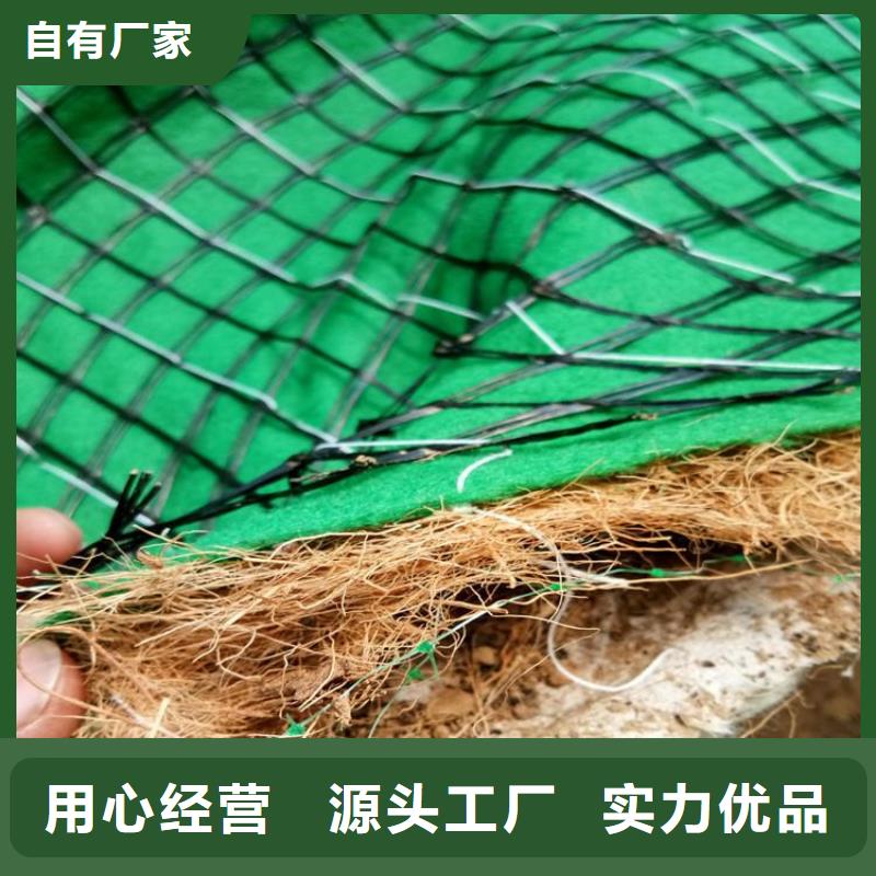 椰丝毯防渗膜多年行业积累