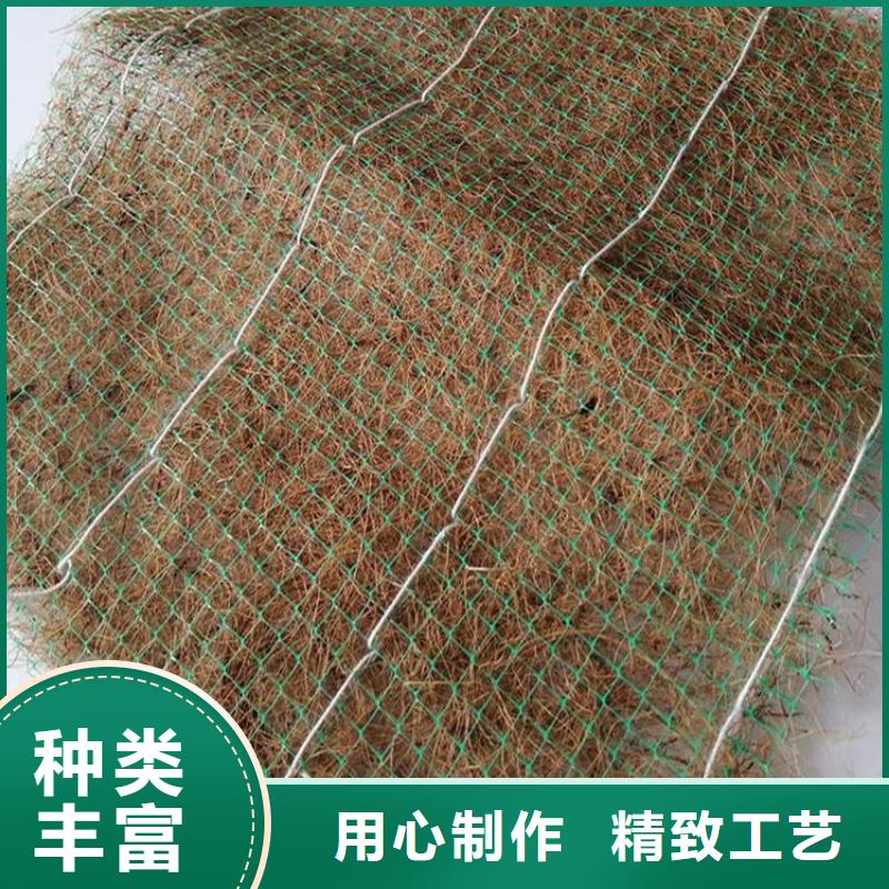 椰丝毯_土工席专业生产厂家