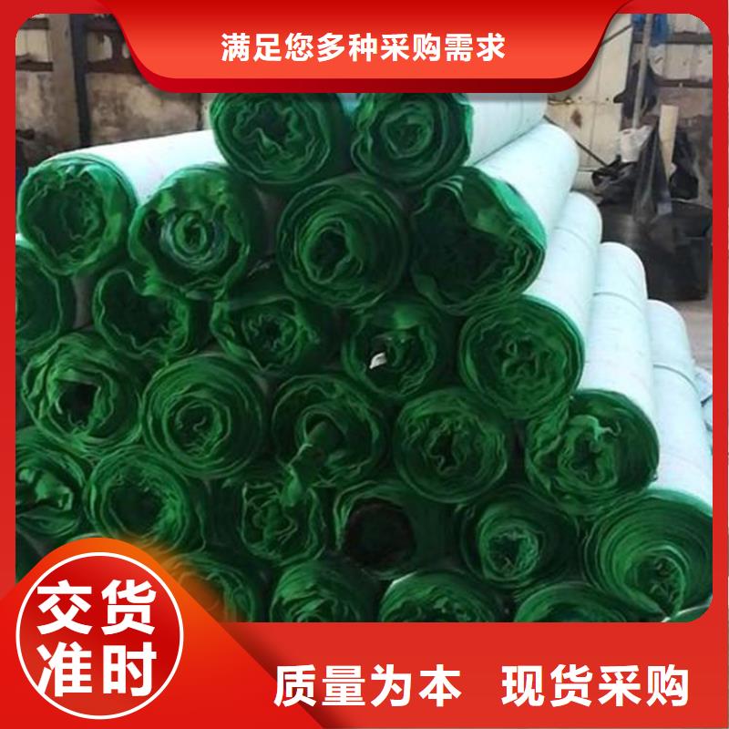 椰絲毯-【防滲膜】專業(yè)生產(chǎn)品質(zhì)保證