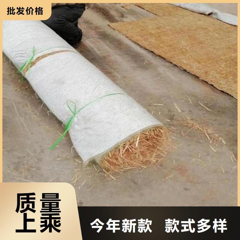 環(huán)保草毯經(jīng)銷廠家