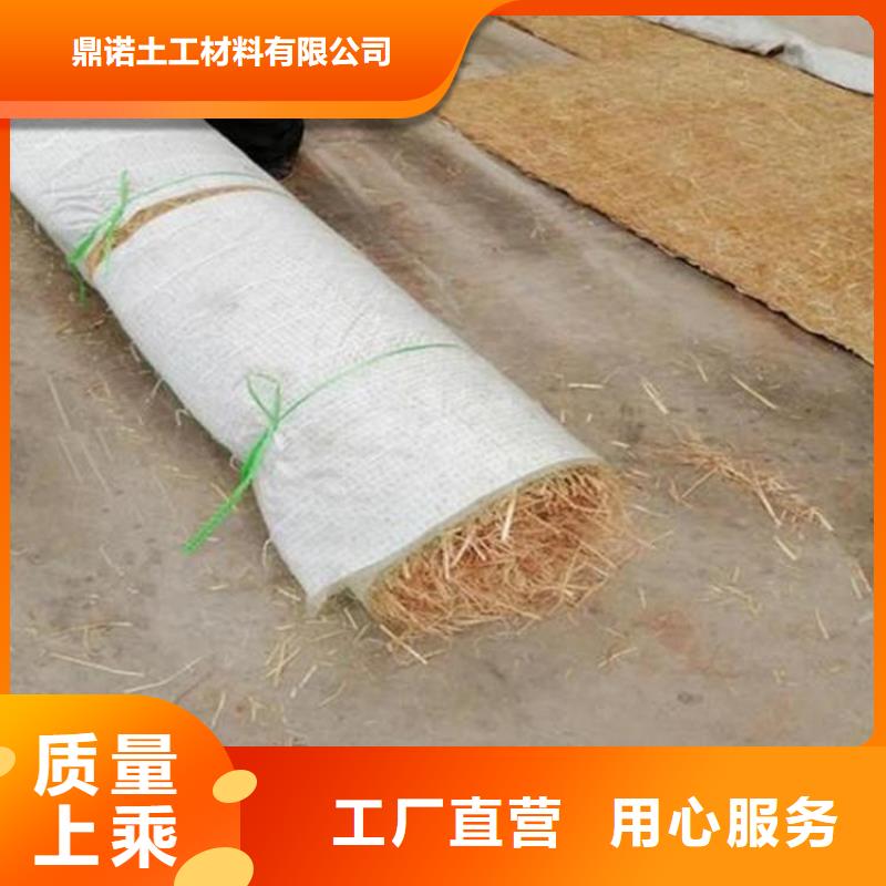 椰丝毯_土工席专业生产厂家