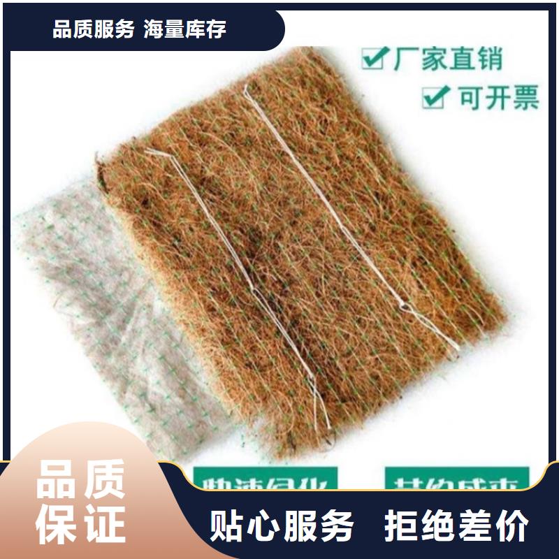 环保草毯经销厂家