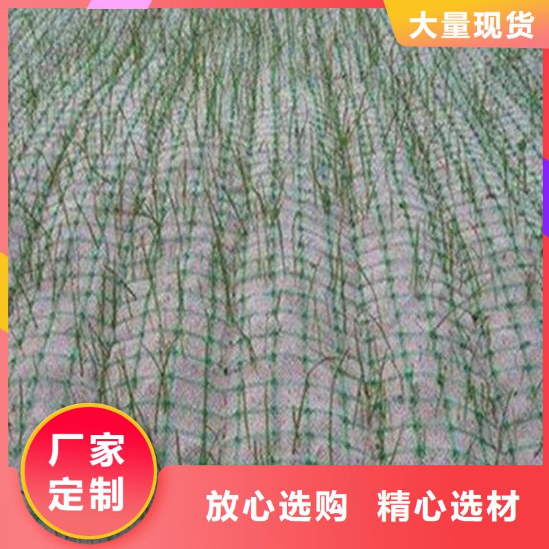椰絲毯-【防滲膜】專業(yè)生產(chǎn)品質(zhì)保證
