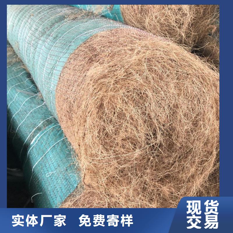 环保草毯经销厂家