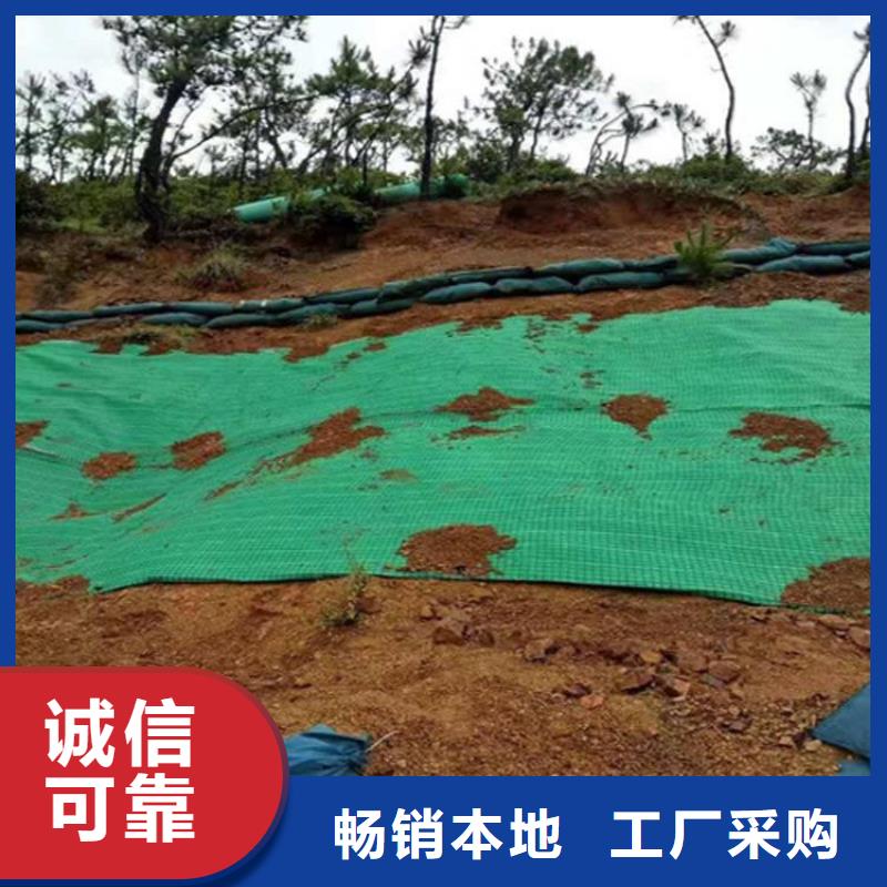 椰丝毯防渗膜批发供应