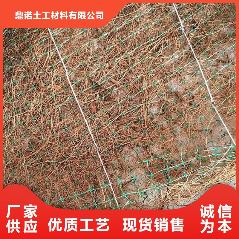 椰丝毯_土工席专业生产厂家