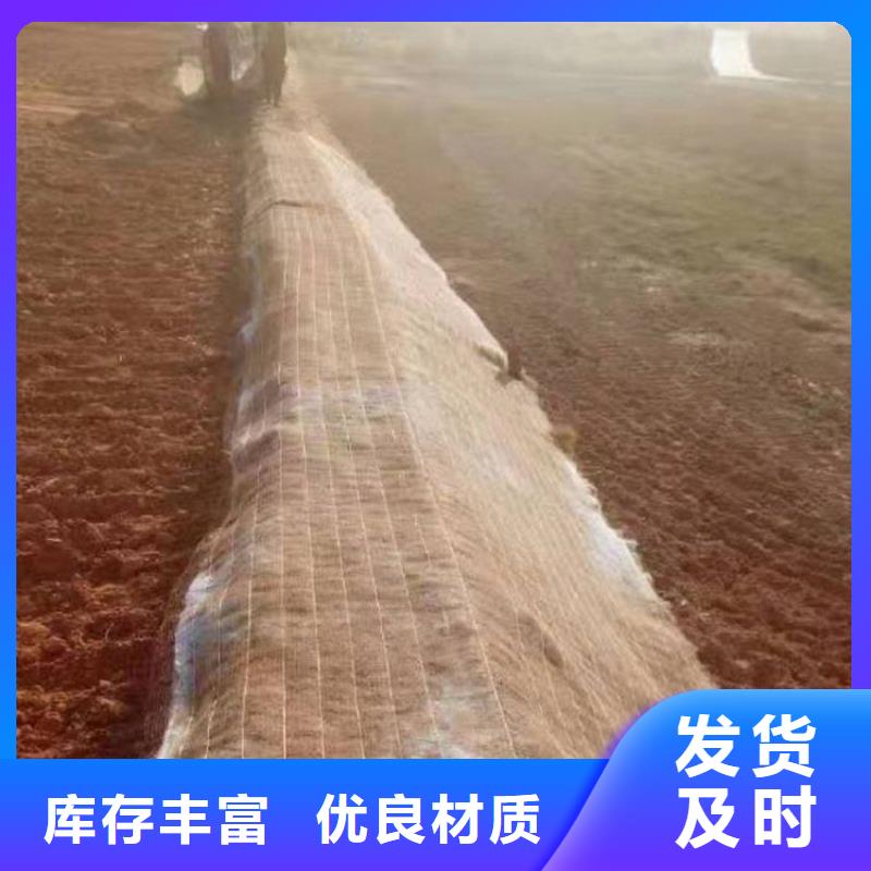 环保草毯经销厂家